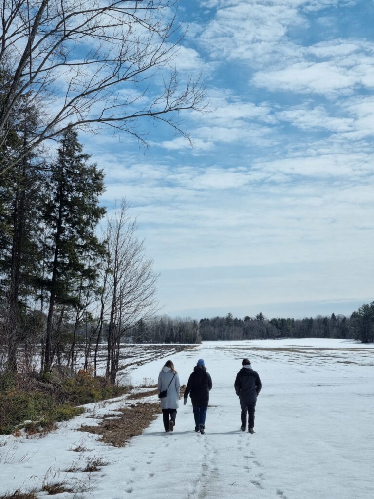 Walk with friends in a maple forest near Montreal