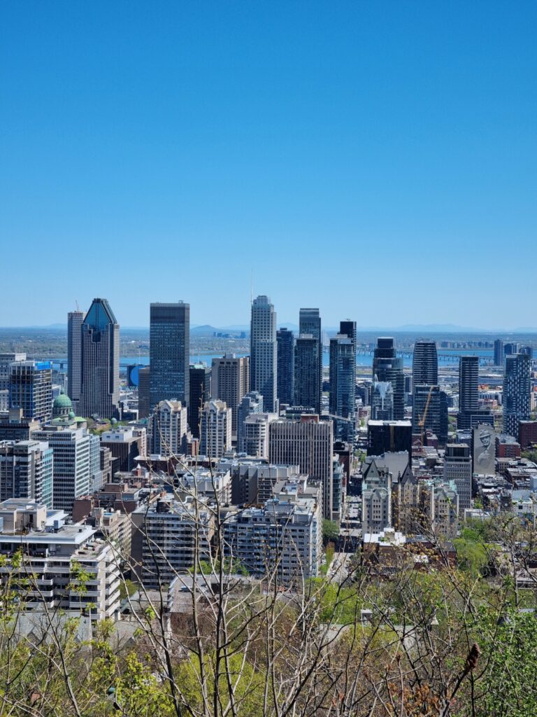 View of Montreal from Mount royal with buildings and nature