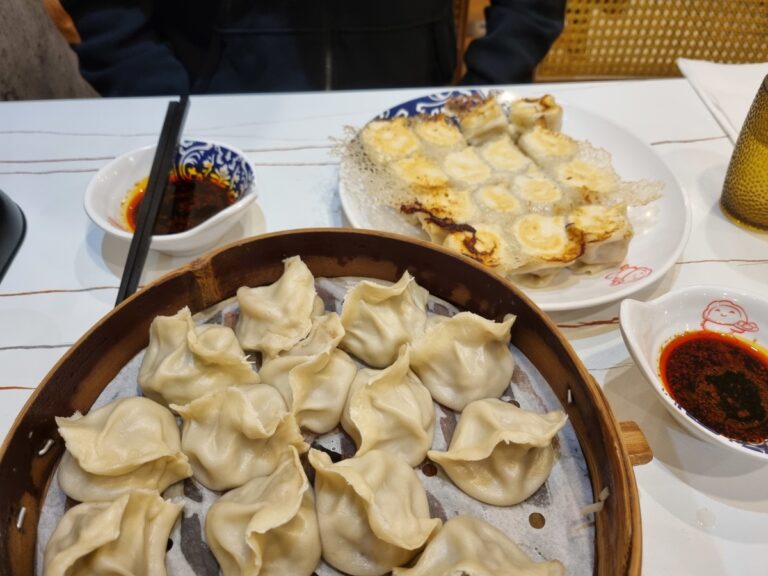 Dumplings from Qing Hua dumplings in Montreal Chinatown