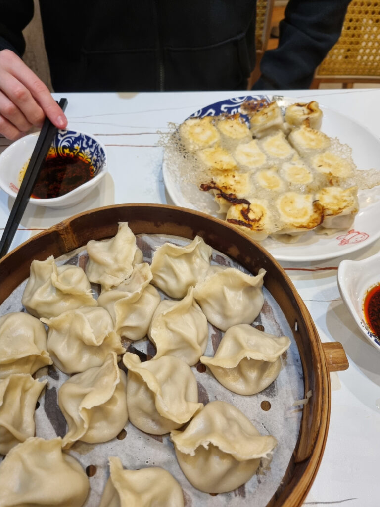 Boiled and pan-fried dumplings from Qing Hua Dumpling