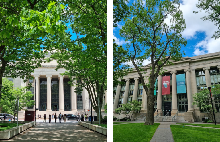 Harvard's and MIT's buildings