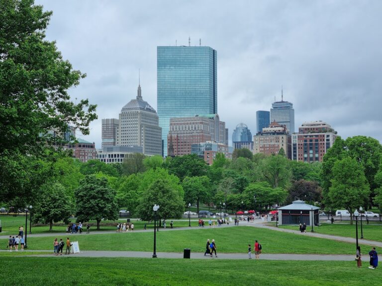Boston common park's skyline view